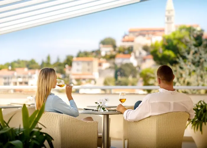 호텔 Maistra Select Pineta 브르사르