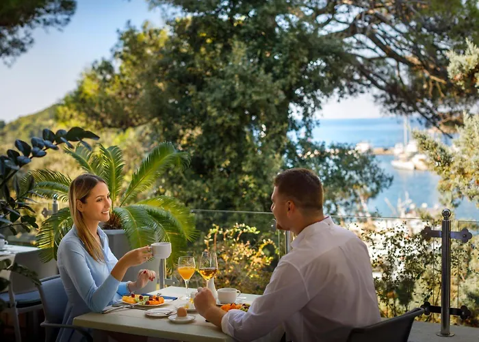 호텔 Maistra Select Pineta 브르사르