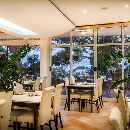 Hotel Maistra Select Pineta 3*